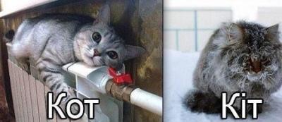 Прикрепленное изображение: getImage.jpg